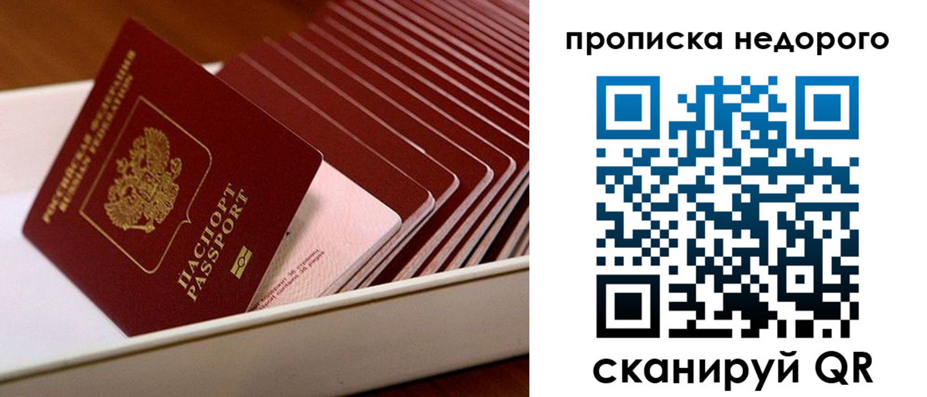 прописка паспорт в Камчатской области