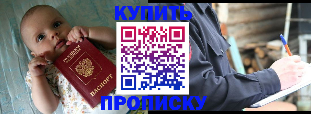 прописка поиск в Камчатской области